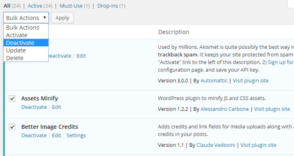 Wordpress Panel Slow